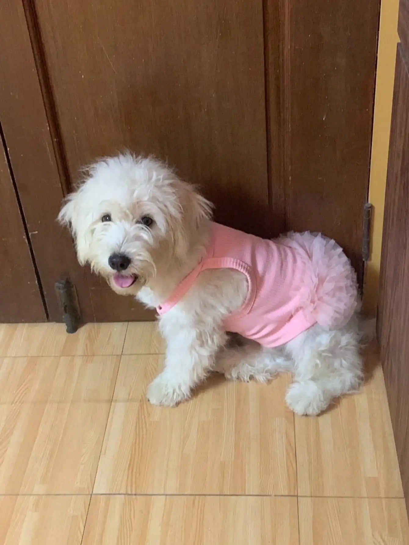 1pc Pink Tulle Sleeveless Pet Dress for Small Dogs & Cats