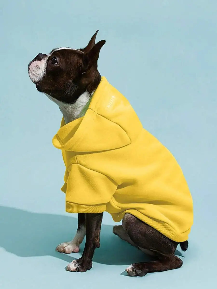 Orange Hooded Pet Sweatshirt with Thermal Lining for Dogs