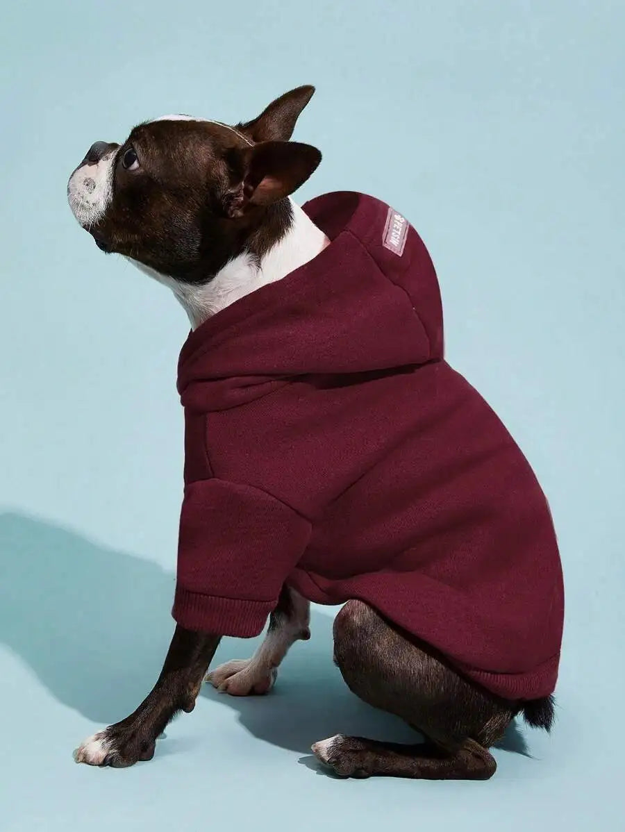 Orange Hooded Pet Sweatshirt with Thermal Lining for Dogs