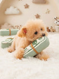 Green Money Stack Plush Squeaky Chew Toy