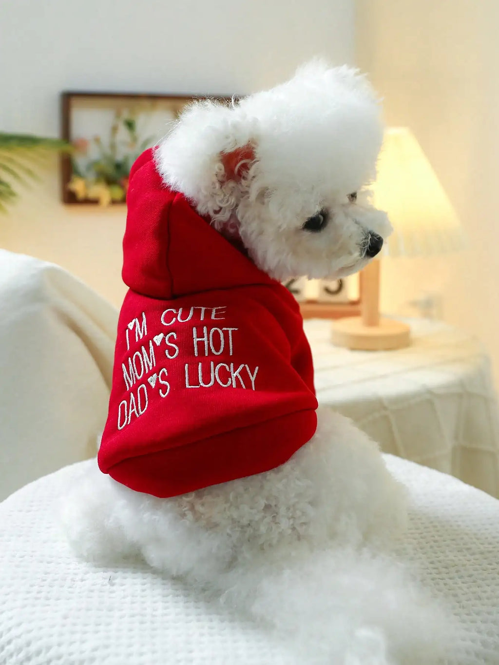 Red Hooded Pet Sweatshirt for Small Dogs