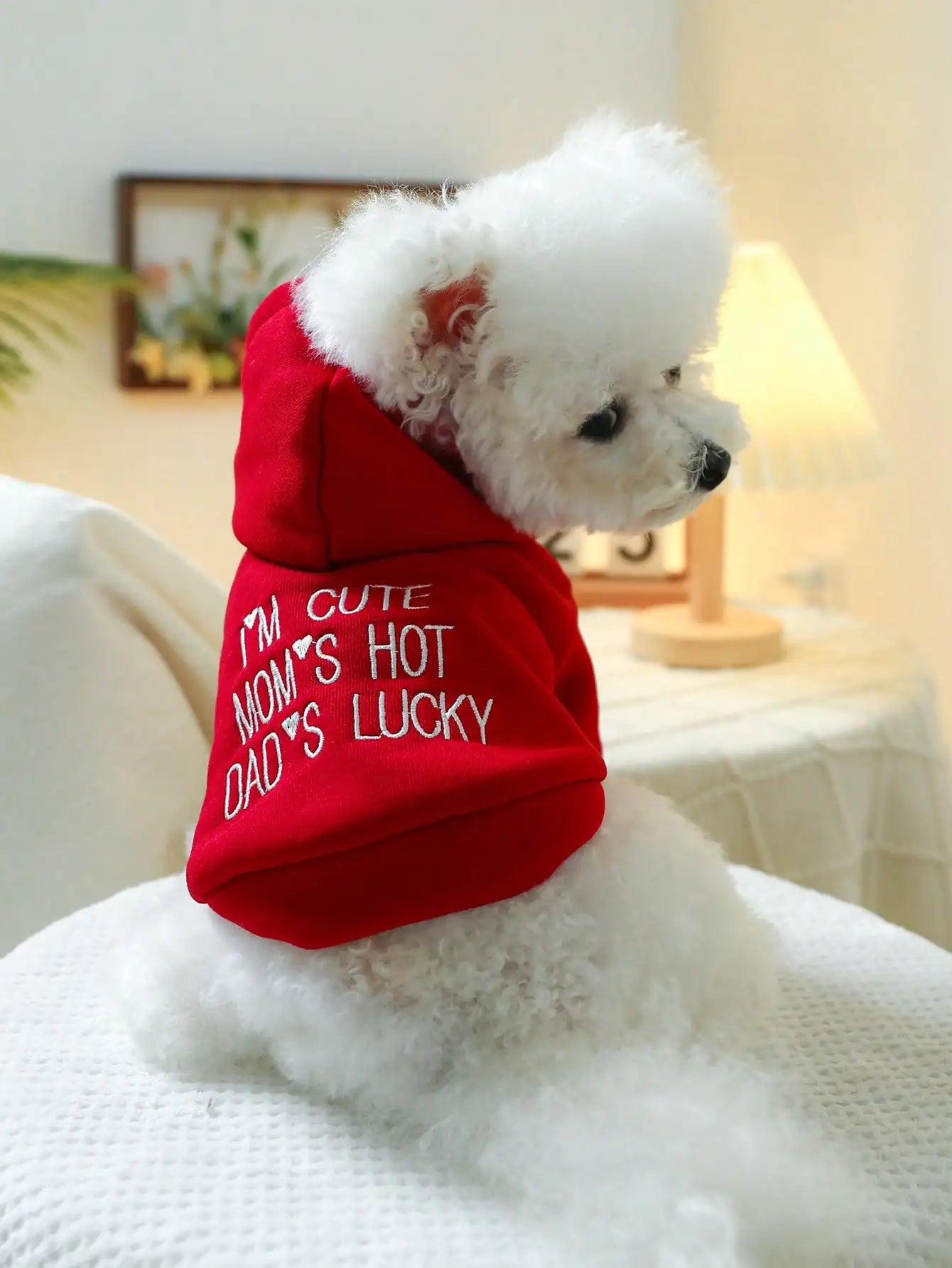 Red Hooded Pet Sweatshirt for Small Dogs