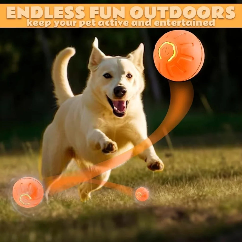 Smart Bouncing Electric Pet Ball,  Random Motion Toy- Cats and Dogs