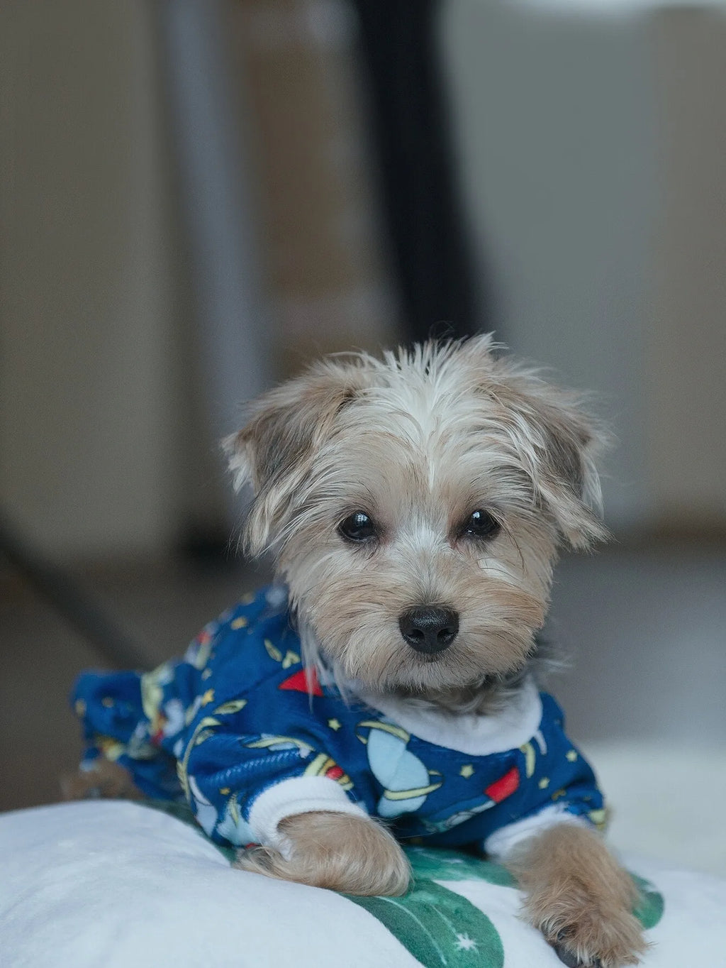 Space-Themed Dog Pajamas with Rocket & Planet Print,