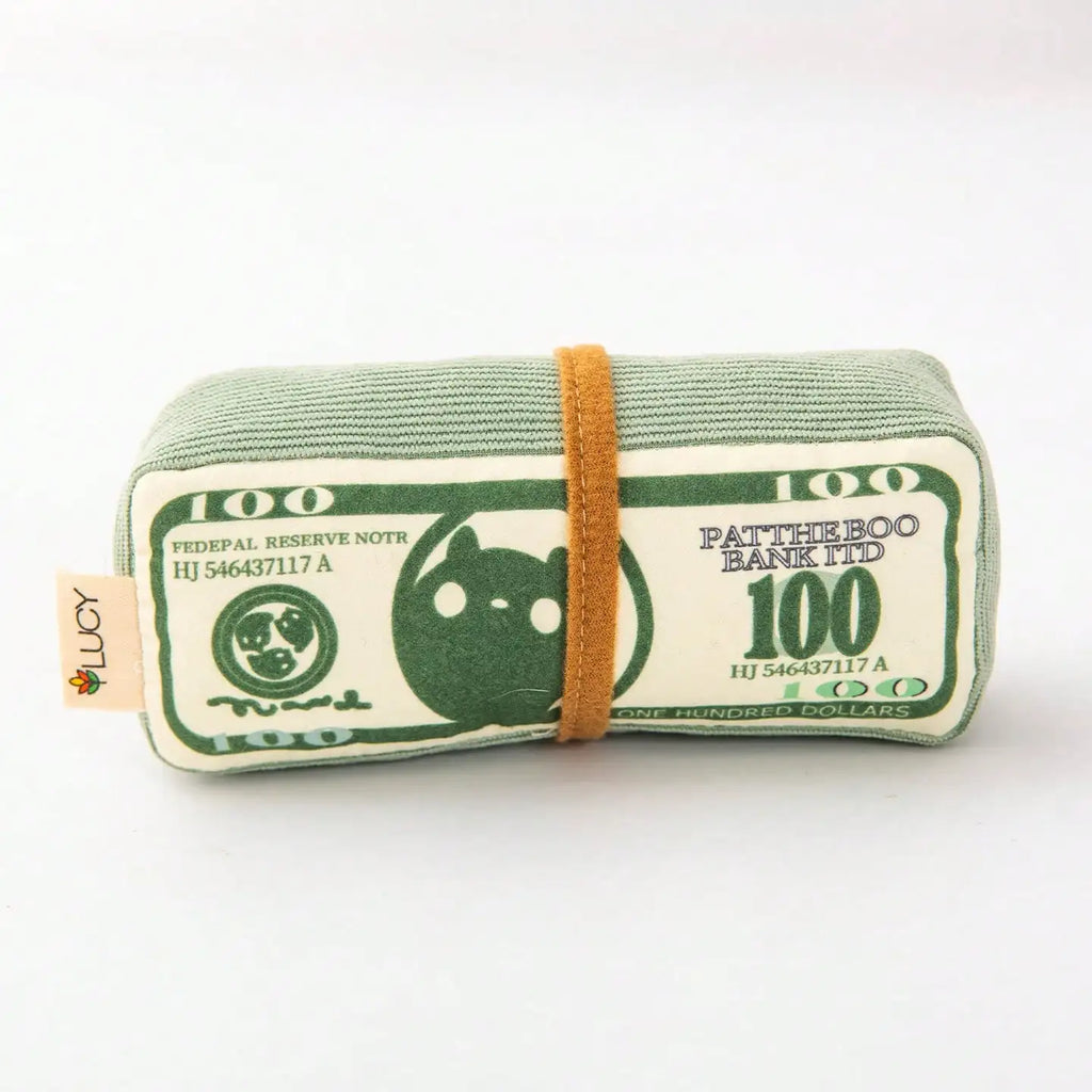 Green Money Stack Plush Squeaky Chew Toy