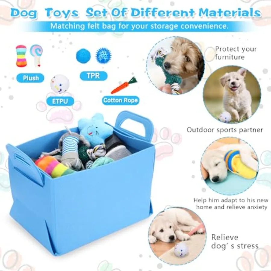 65 Pcs Puppy Supplies Starter Kit Small Dog