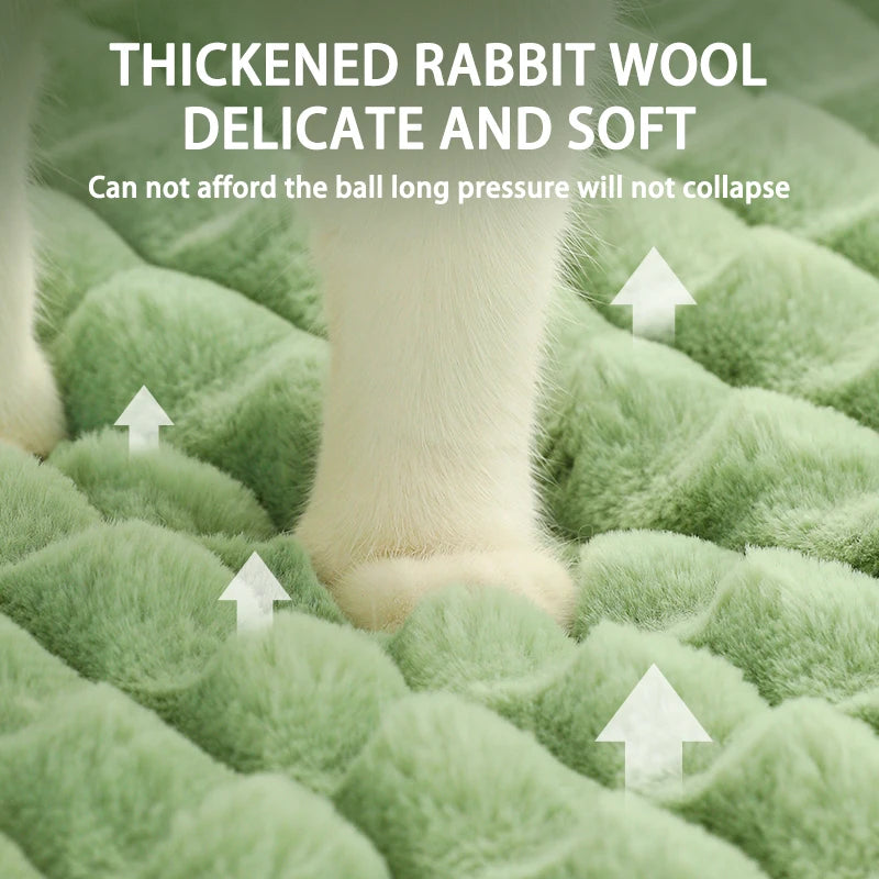 Warm Washable Dog/Cat Mat Deep Sleep Fluff Bed