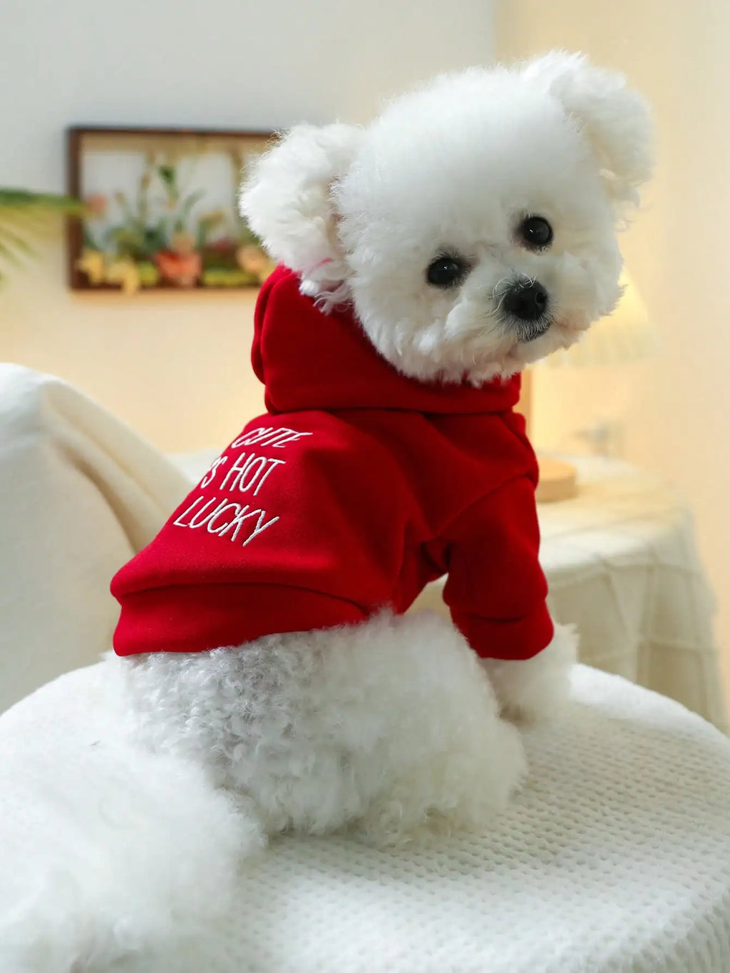 Red Hooded Pet Sweatshirt for Small Dogs
