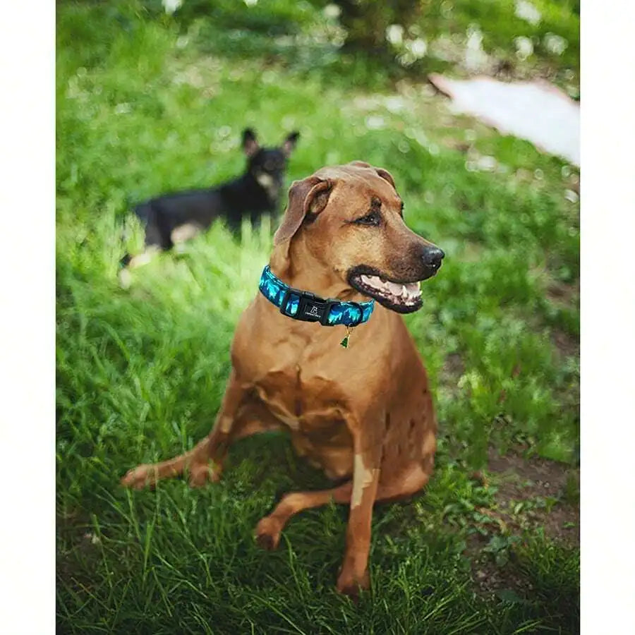 Adjustable Dog Collar with Forest Night Print, Durable Buckle