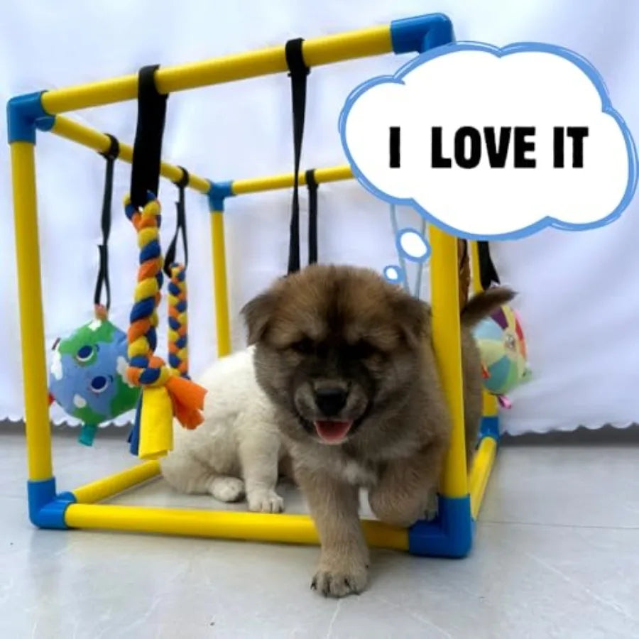Small Dogs Indoor Jungle Gym, PVC Frame