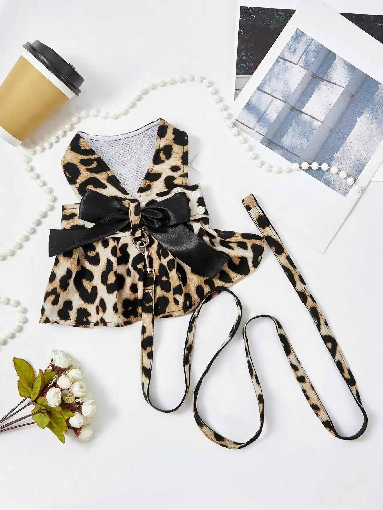 Leopard Print Bow Harness and Leash Set for Small Dogs and Cats