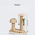 Durable Multi-Functional Self-Entertainment Cat Scratch Board