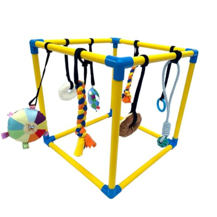 Small Dogs Indoor Jungle Gym, PVC Frame