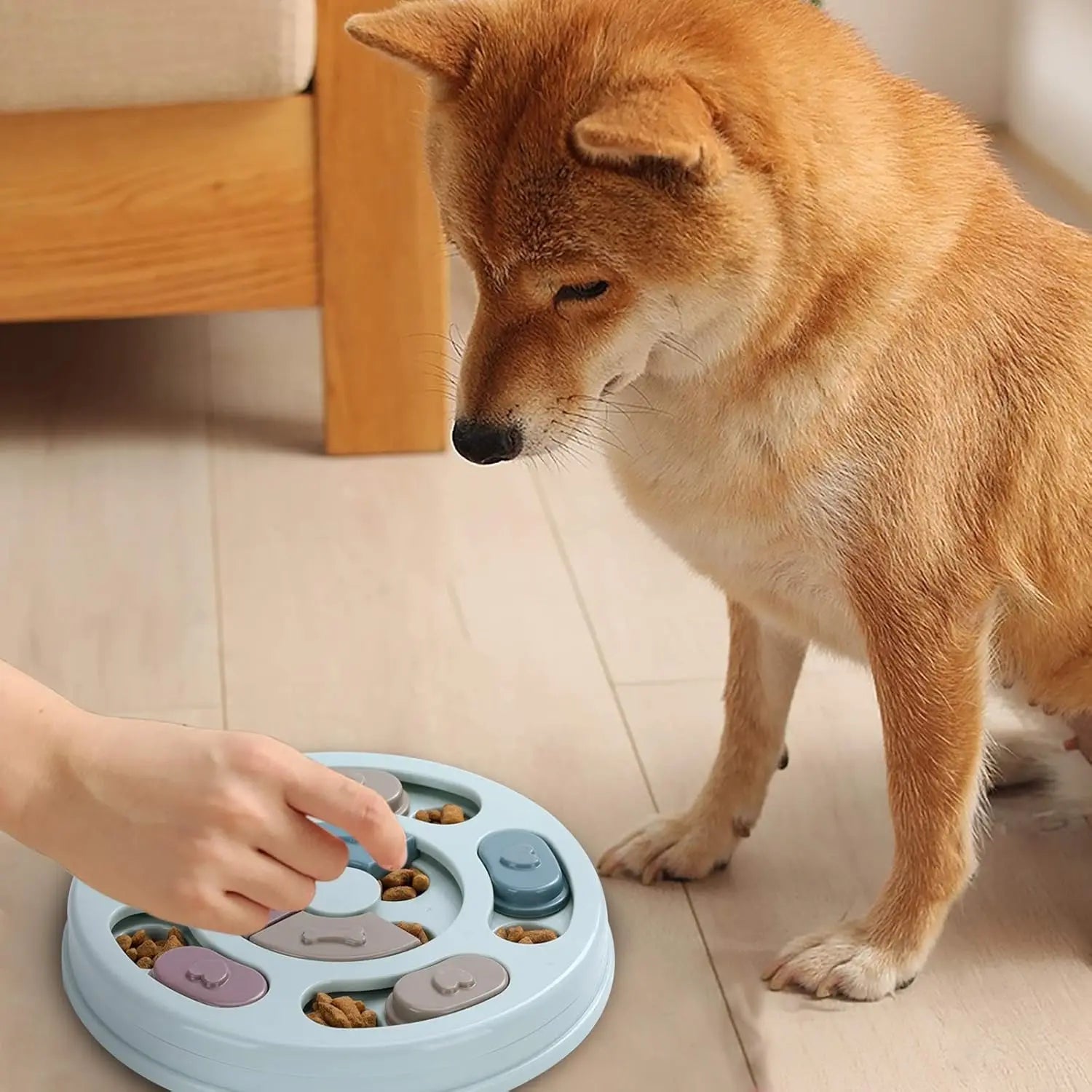 Interactive Dog Puzzle Toy for IQ Training, Treat Dispenser in Blue