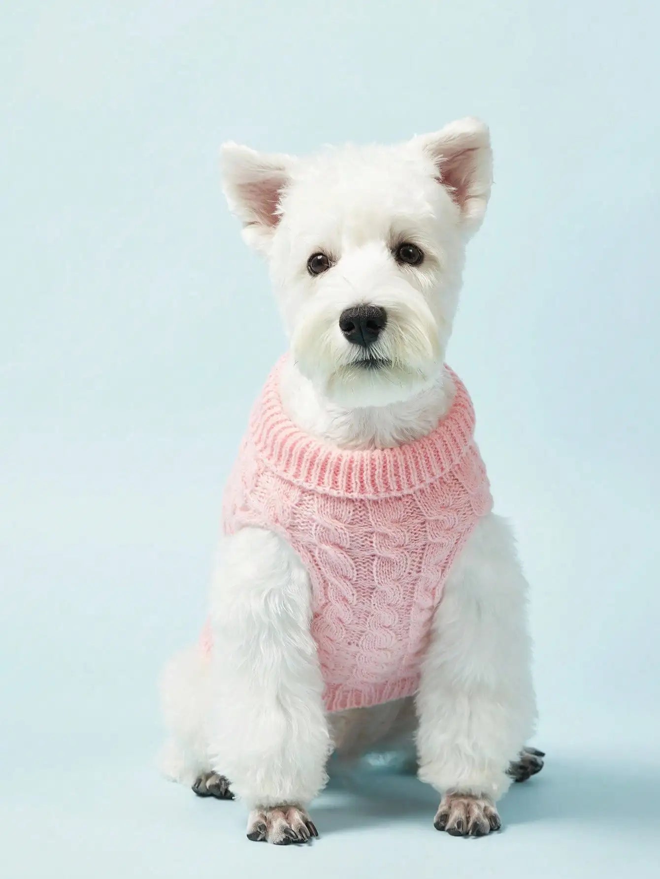 Cable Knit Pet Sweater for Small to Medium Dogs