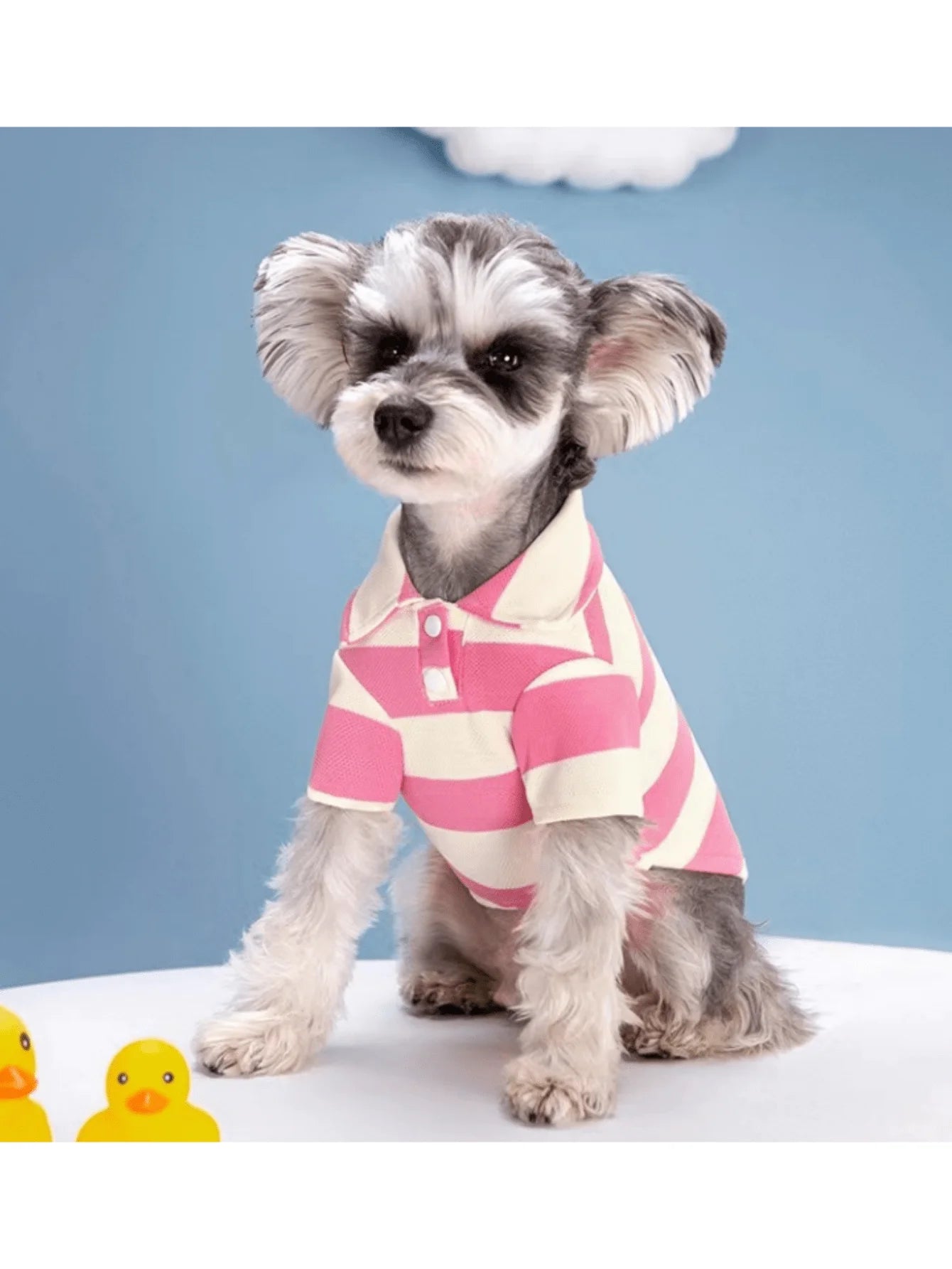 Blue  Cream Striped Polo Shirt for Small to Medium Dogs,