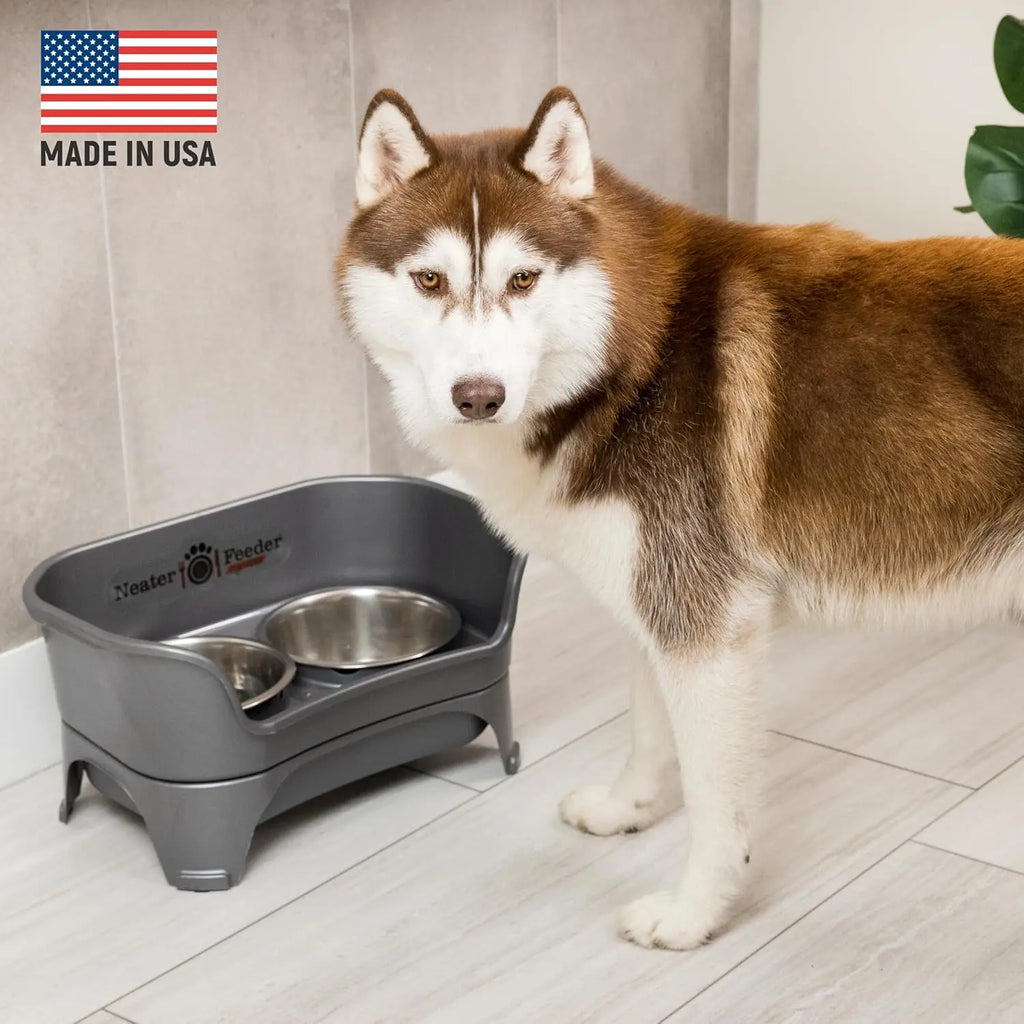Elevated No-Spill Dog Bowl Set for Medium to Large Breeds