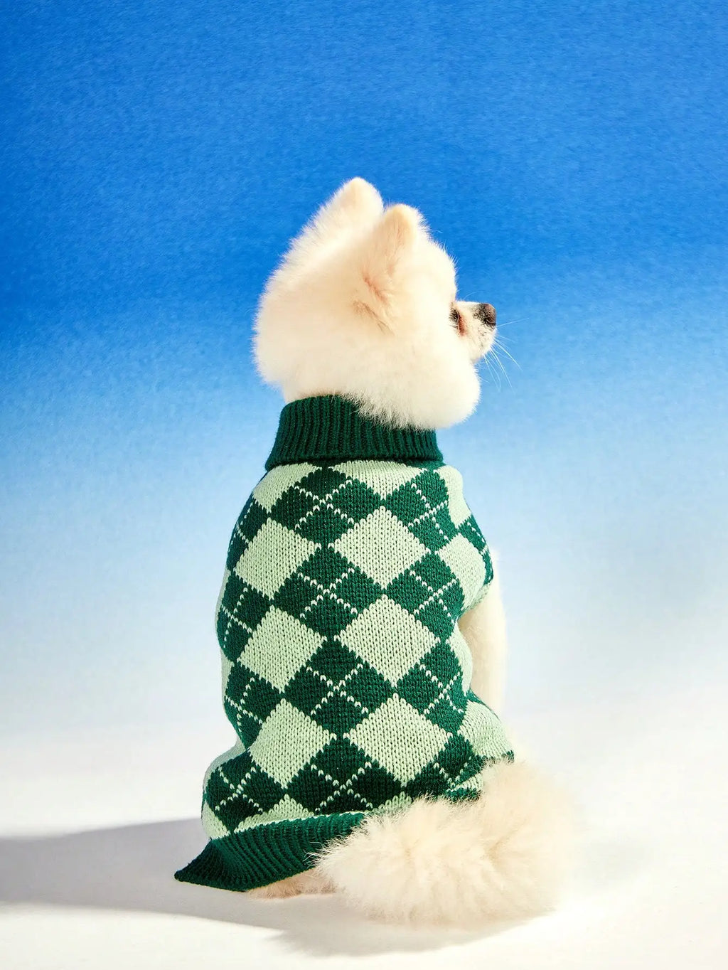 Green Argyle Knit Dog Sweater for Autumn Winter