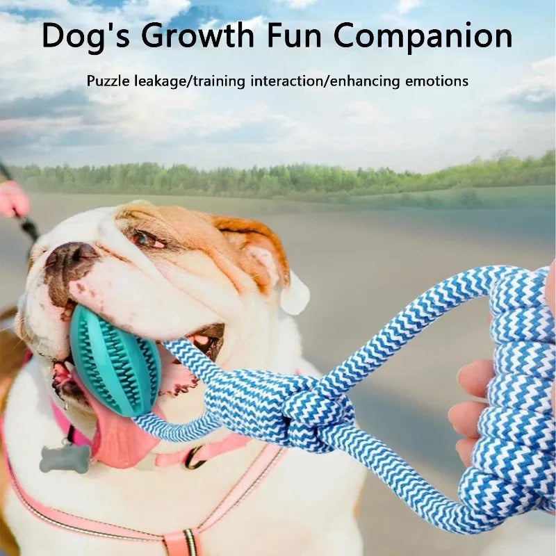 Chew Resistant Rope Toy with Food Dispensing for Mental Stimulation