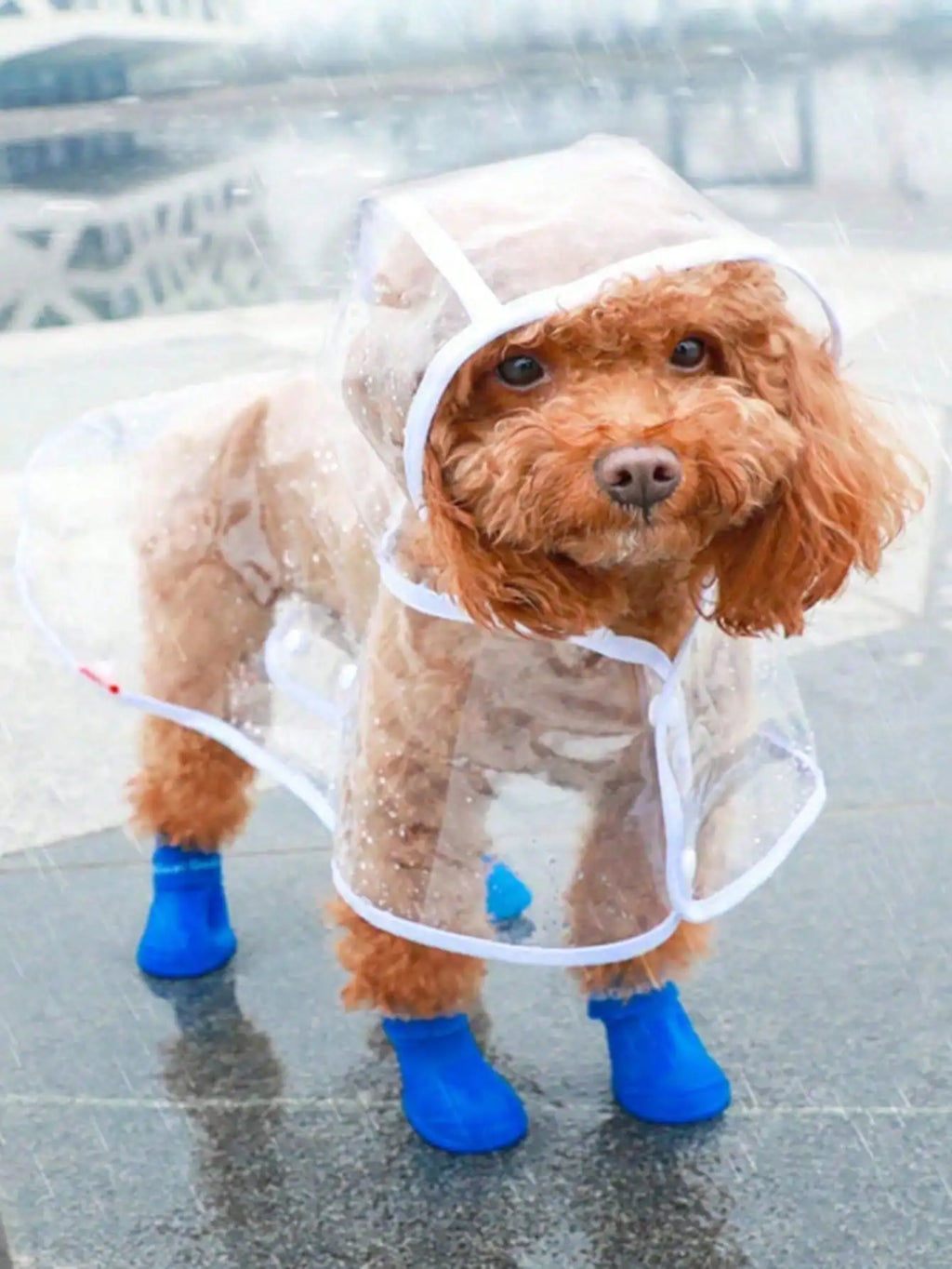 PU Dog Raincoat with Hood and Blue Booties for Small Dogs