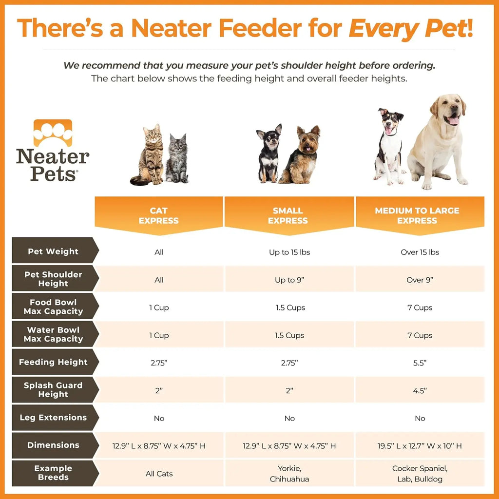 Elevated No-Spill Dog Bowl Set for Medium to Large Breeds