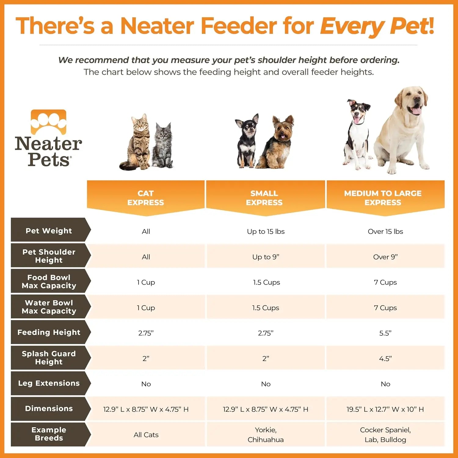 Elevated No-Spill Dog Bowl Set for Medium to Large Breeds