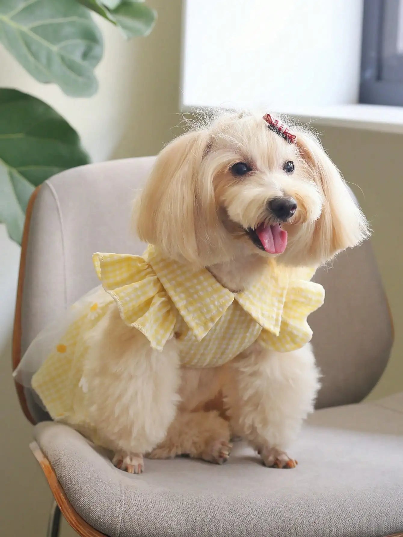 Yellow Gingham Dog Dress with Daisy Embroidery and Ruffled Sleeves