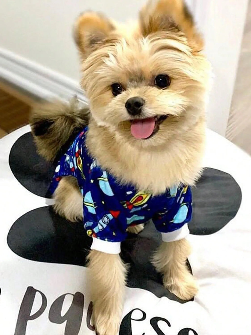 Space-Themed Dog Pajamas with Rocket & Planet Print,
