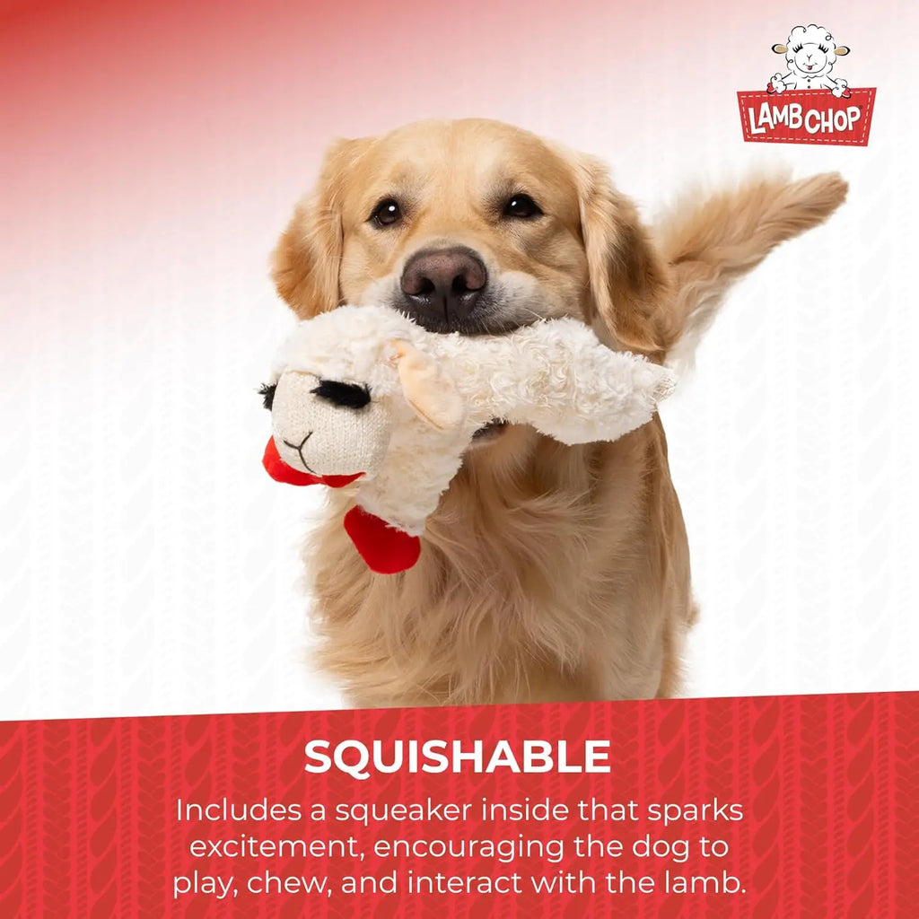 Lamb Chop Plush Dog Toy with Squeakers