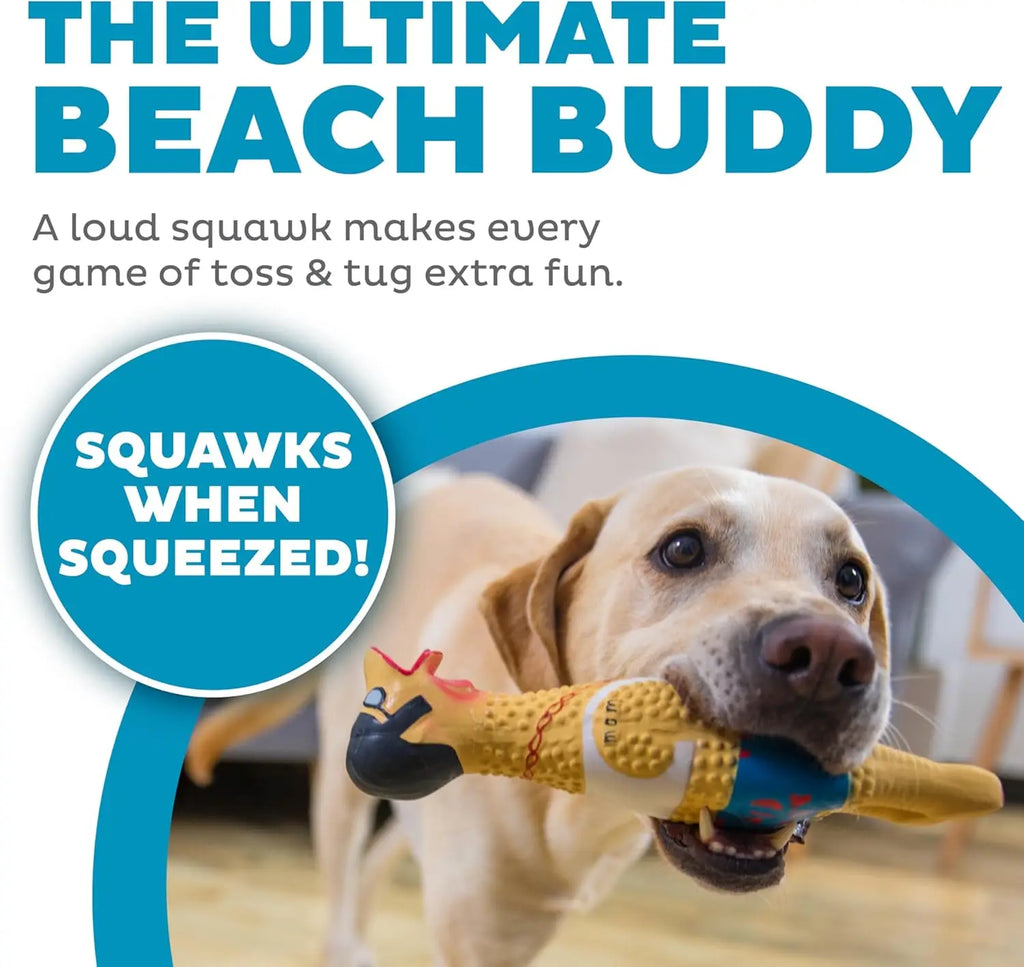 Squeaky Rubber Chicken Dog Toy, Funny Interactive Holiday Gift