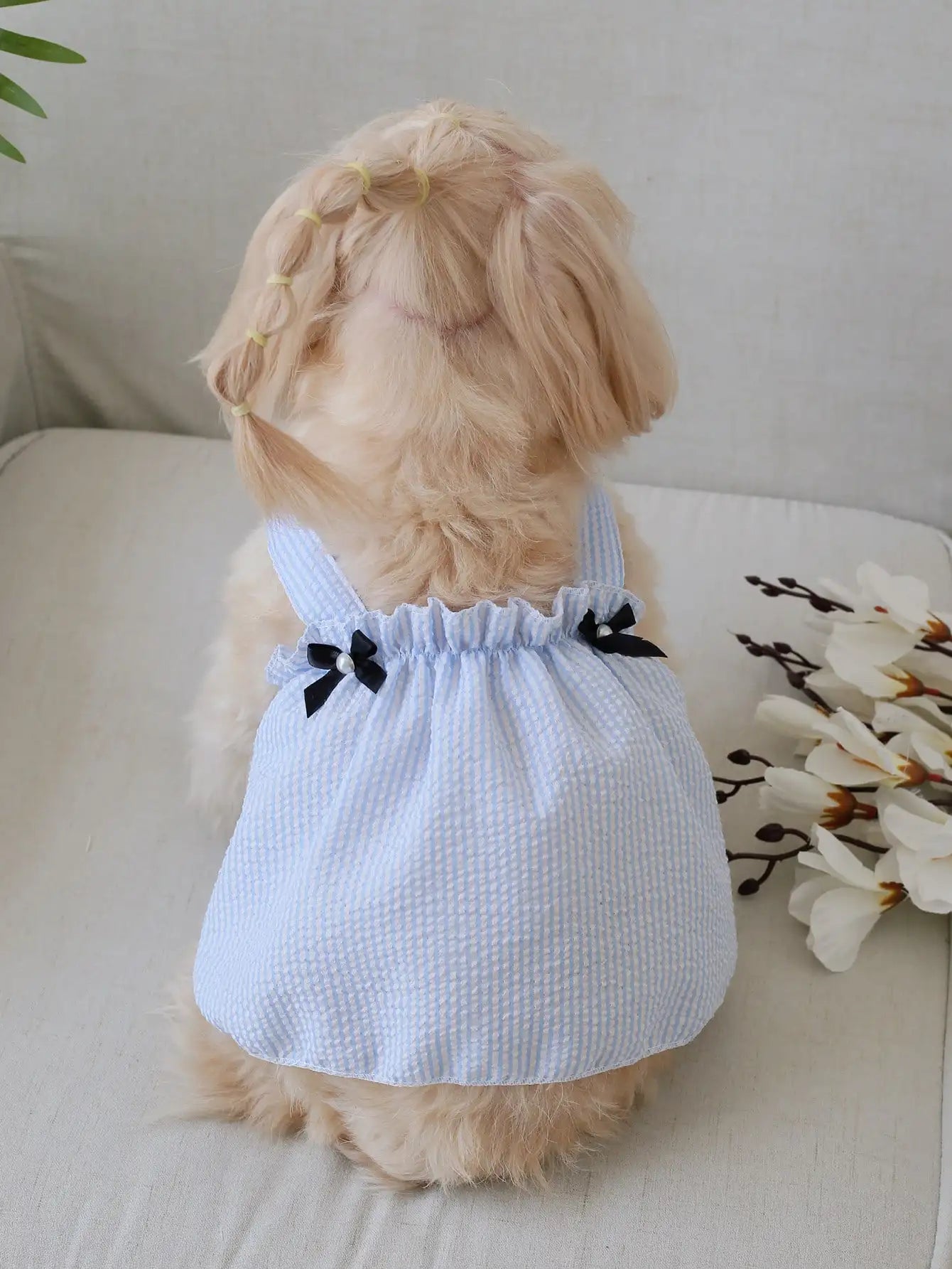 Orange & White Striped Pet Dress  for Small Dogs
