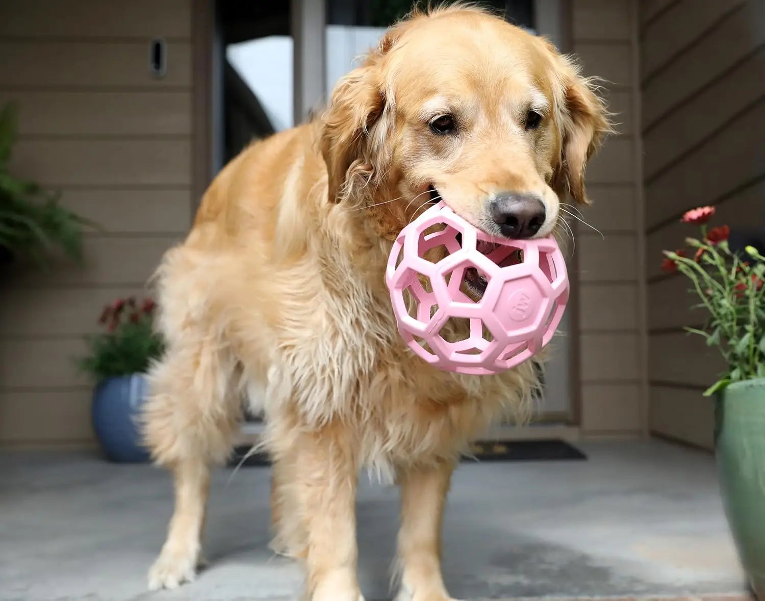 Large Dog Puzzle Toy Ball,