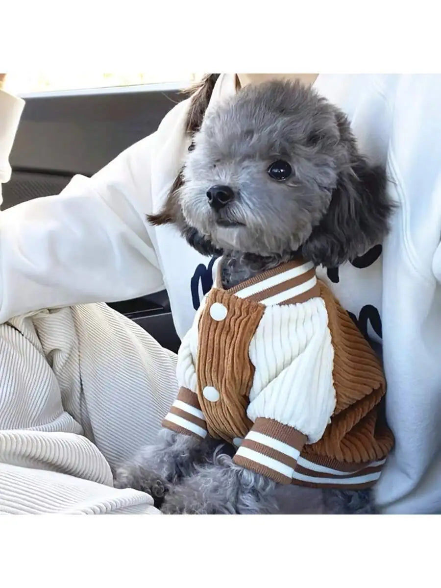 Corduroy Dog Varsity-Style Jacket for Autumn Winter
