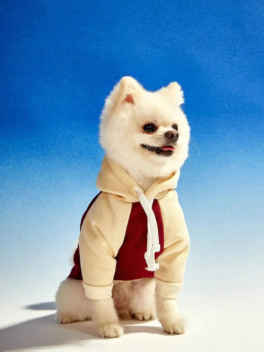 Pet Hoodie Sweatshirt with Vintage Color Block