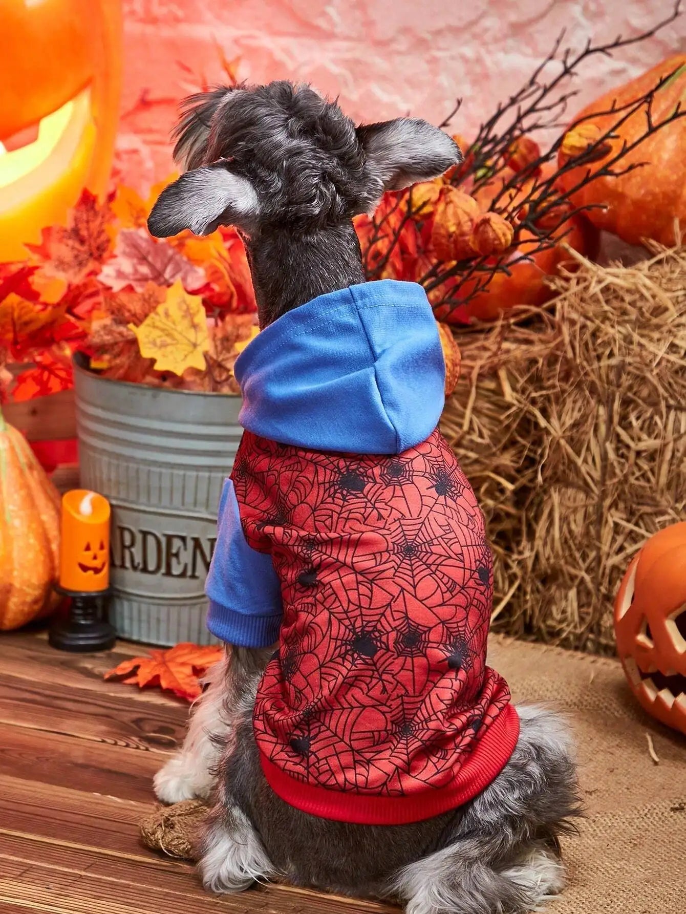 Spiderweb Print Hooded Dog Sweater for Halloween