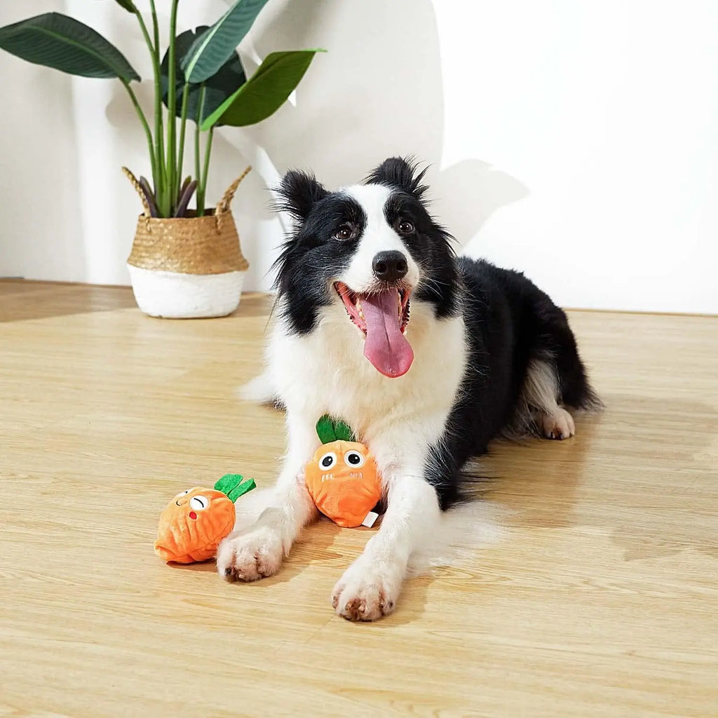 Squeaky Easter Dog Toys with Ball, 3-in-1 Plush Chew Toy