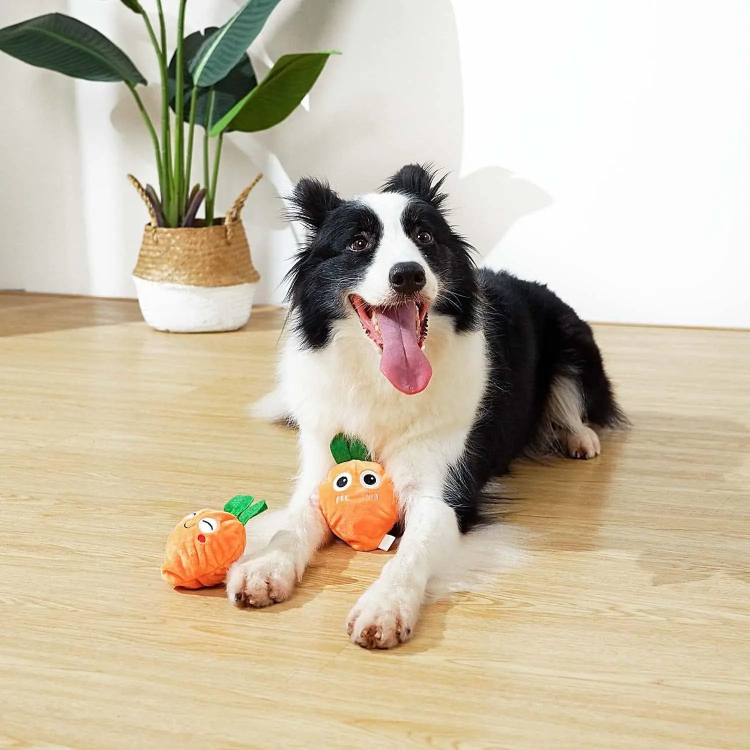 Squeaky Easter Dog Toys with Ball, 3-in-1 Plush Chew Toy