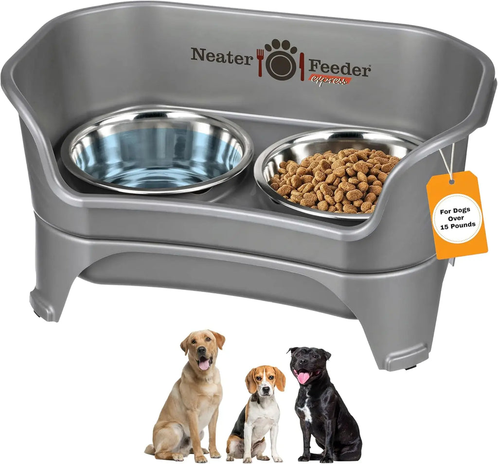 Elevated No-Spill Dog Bowl Set for Medium to Large Breeds