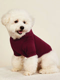 Burgundy Thermal-Lined Pet Hoodie for Small Dogs and Cats