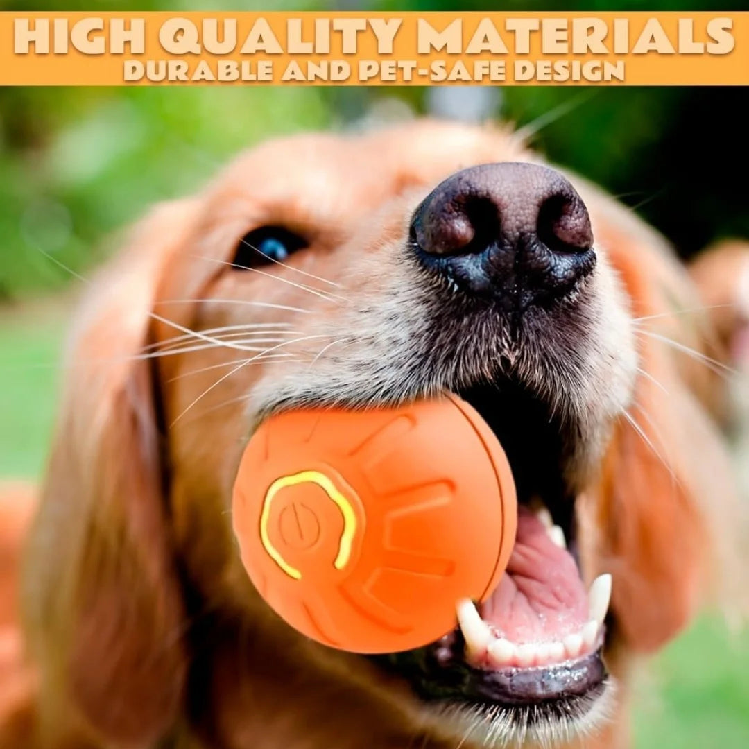 Smart Bouncing Electric Pet Ball,  Random Motion Toy- Cats and Dogs