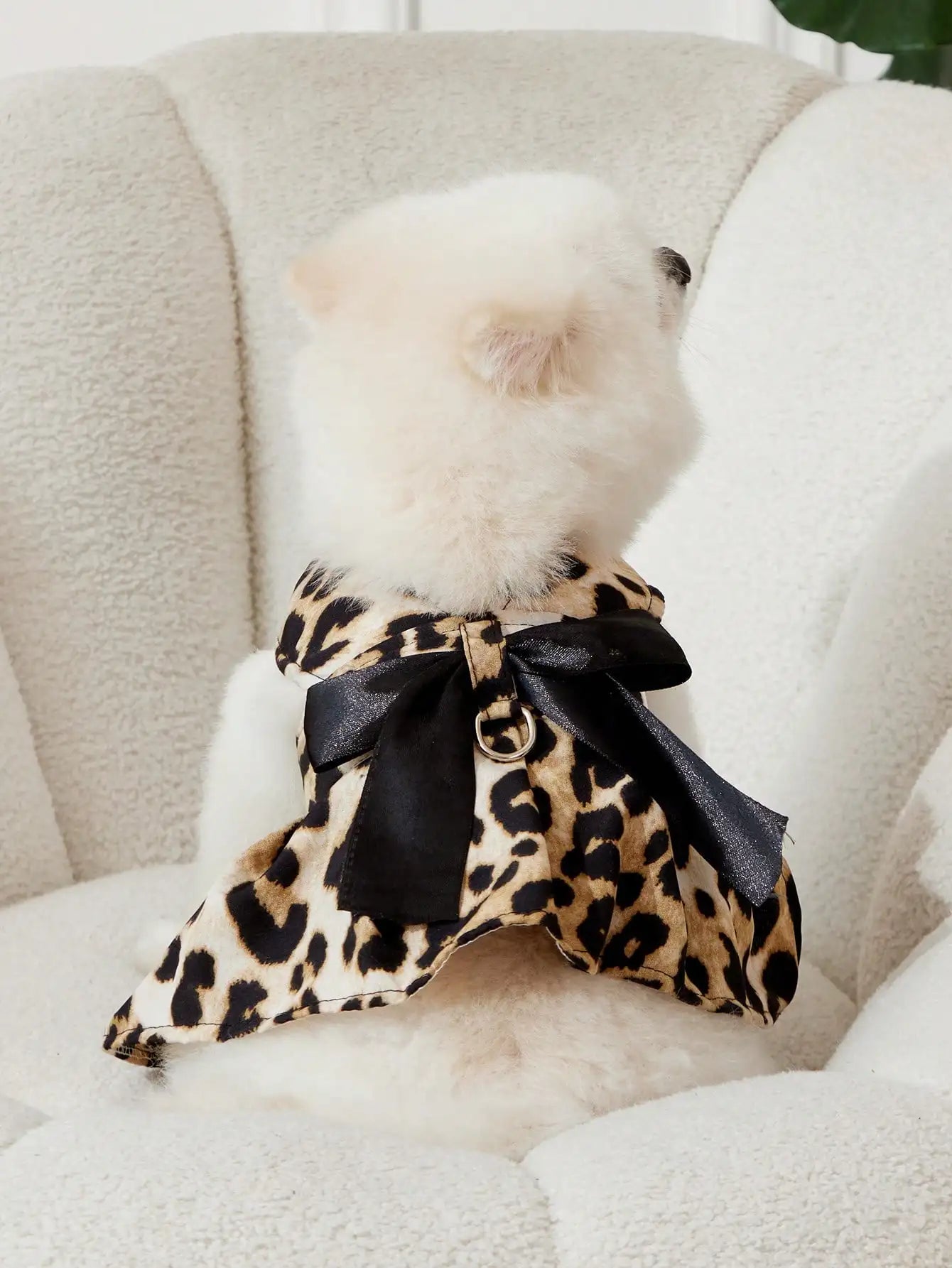 Leopard Print Bow Harness and Leash Set for Small Dogs and Cats