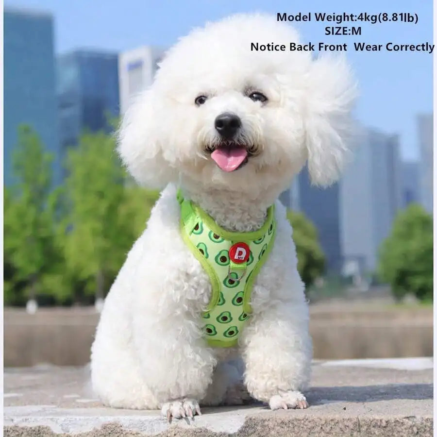 Avocado Print Adjustable Pet Harness and Leash Set