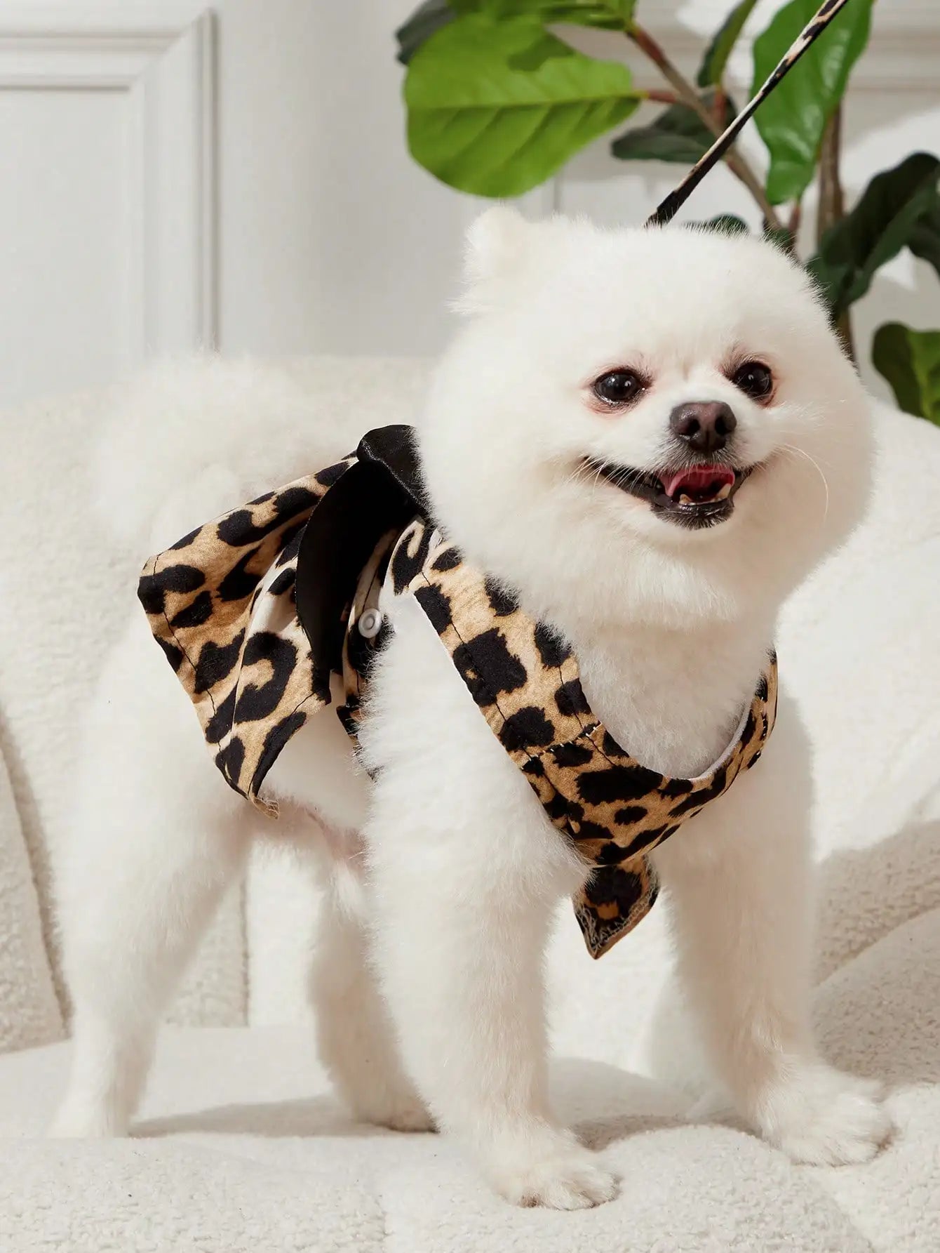 Leopard Print Bow Harness and Leash Set for Small Dogs and Cats