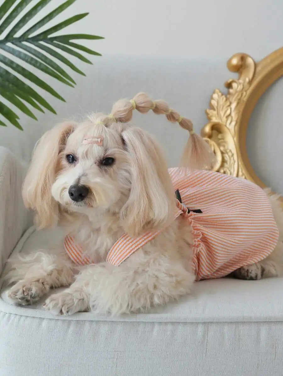 Orange & White Striped Pet Dress  for Small Dogs
