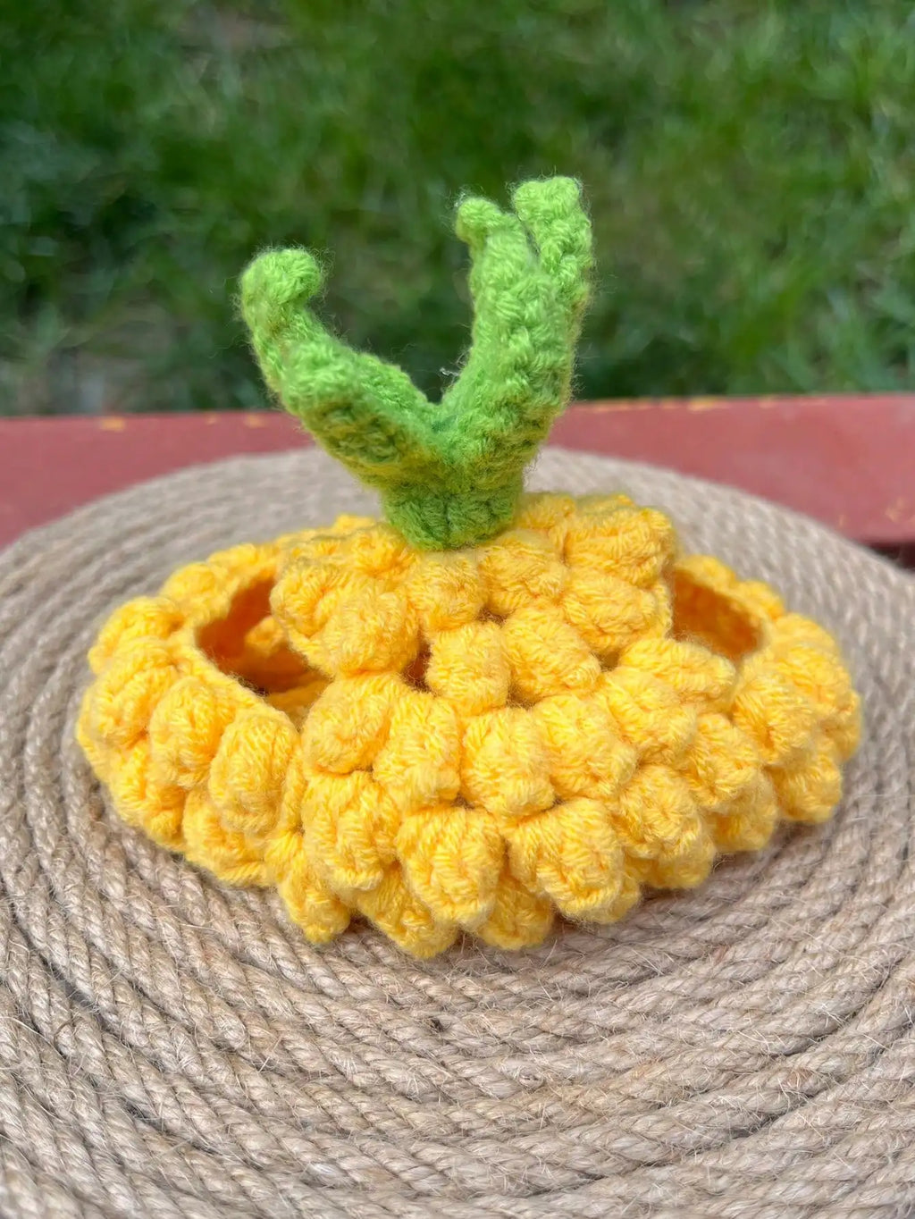 Hand-Crocheted Pet Hat in Strawberry Design for Small Dogs