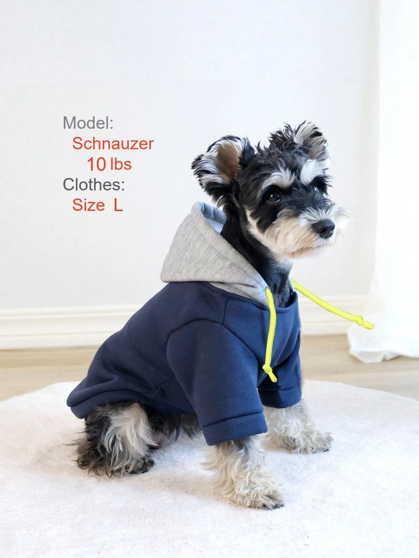 Navy Blue Hooded Dog Sweatshirt  for Small Medium Dogs