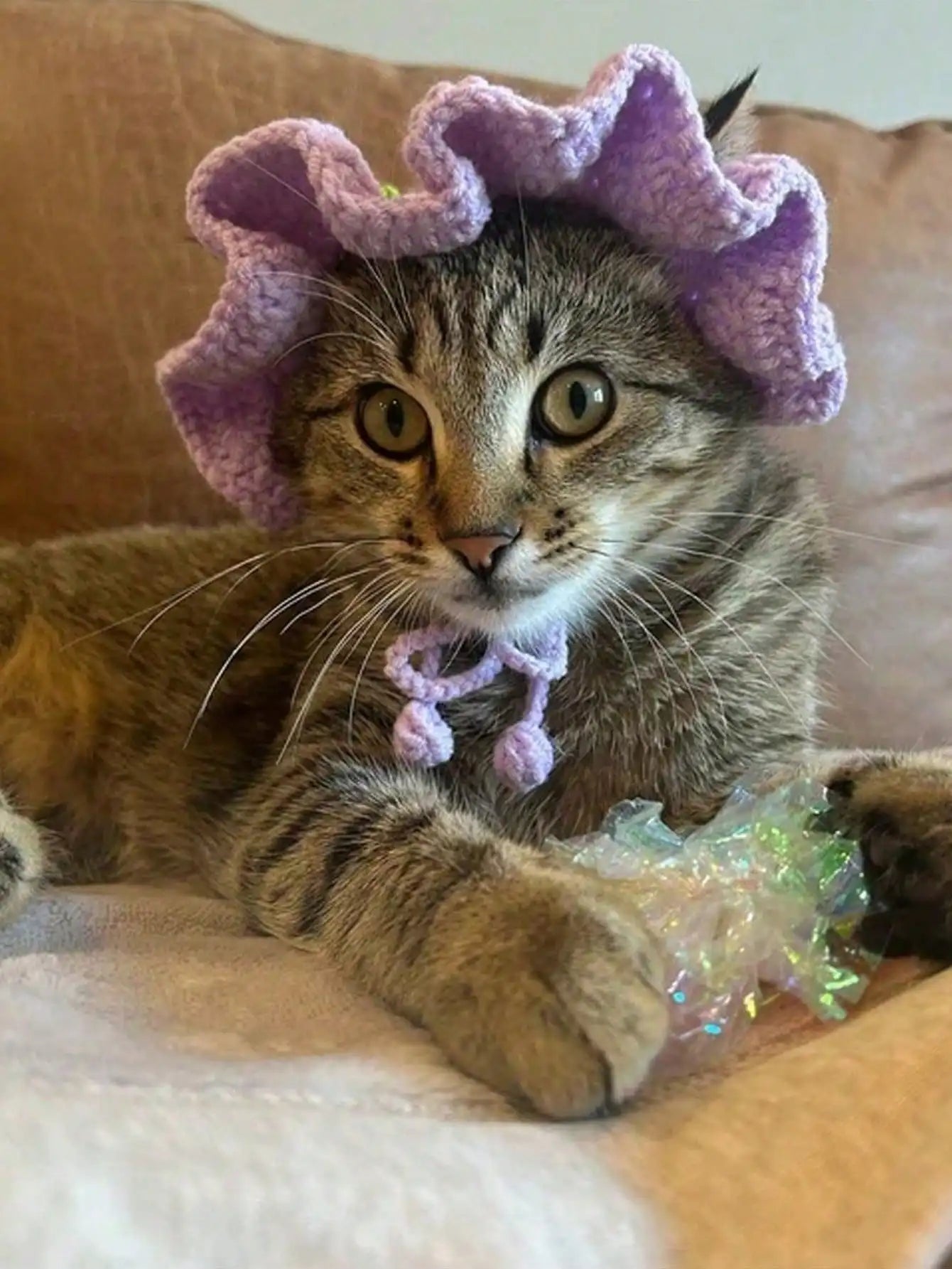 Hand-Crocheted Pet Hat in Strawberry Design for Small Dogs