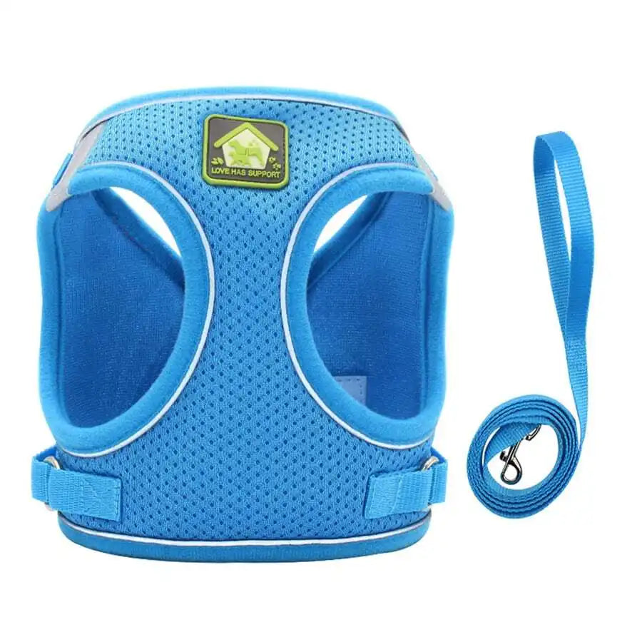 Blue Mesh Adjustable Dog Harness and Leash