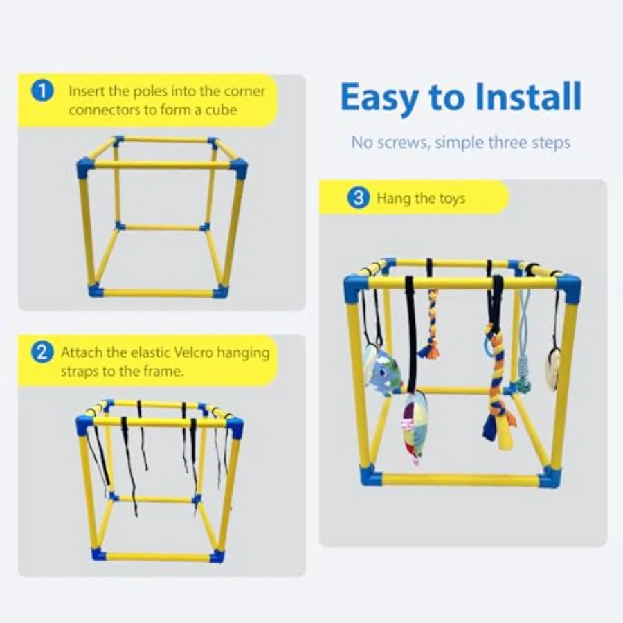 Small Dogs Indoor Jungle Gym, PVC Frame
