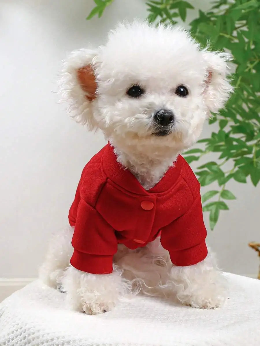 Red Pet Sweatshirt with Letter M, High Neck Short Sleeve